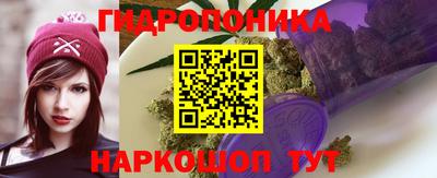 a pvp Славянск-на-Кубани