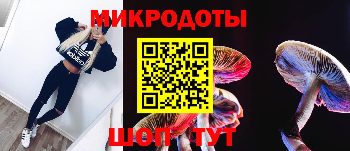 Галлюциногенные грибы мухоморы Южно-Сахалинск